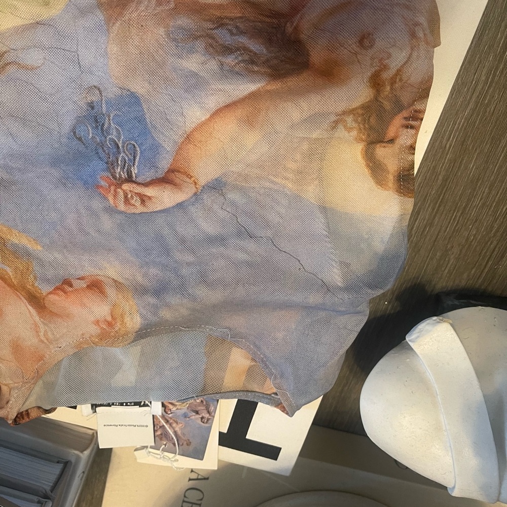 ZARA Printed Tulle Bodysuit - Picture 6 of 11